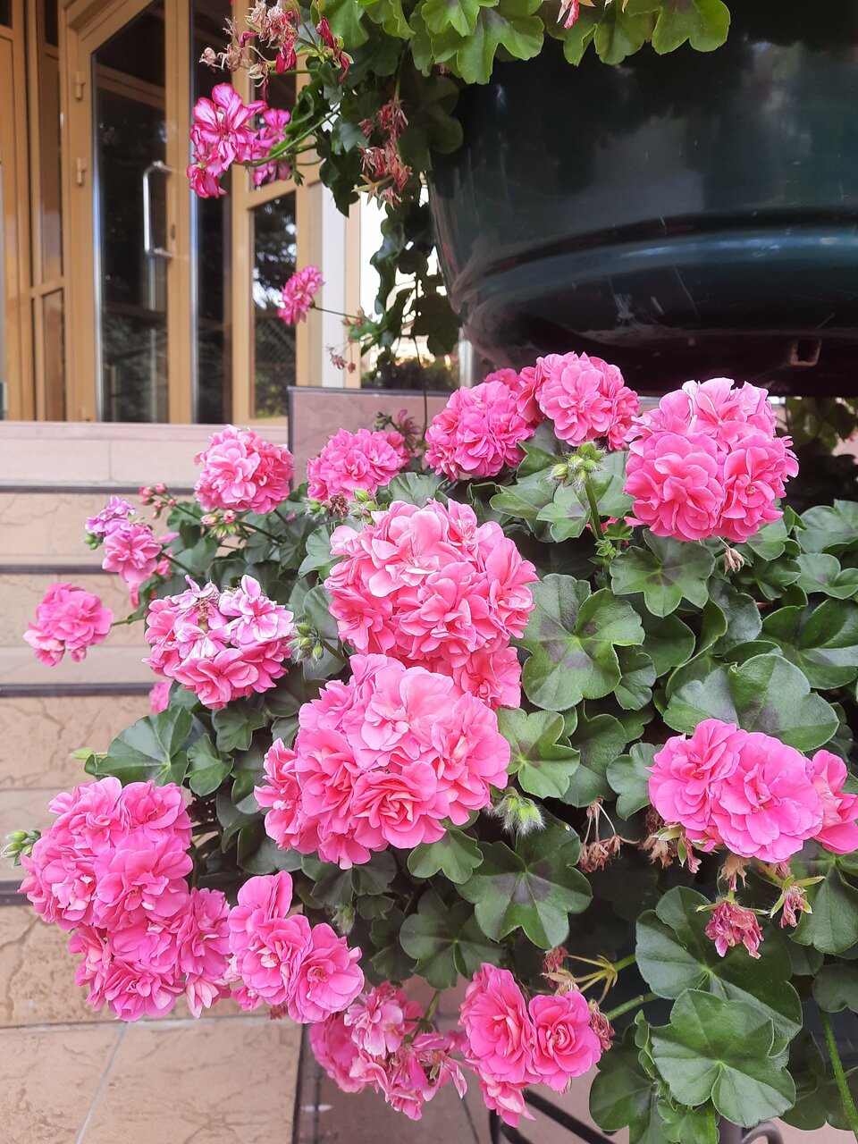 Гостиница Жемчужина Саратов-31