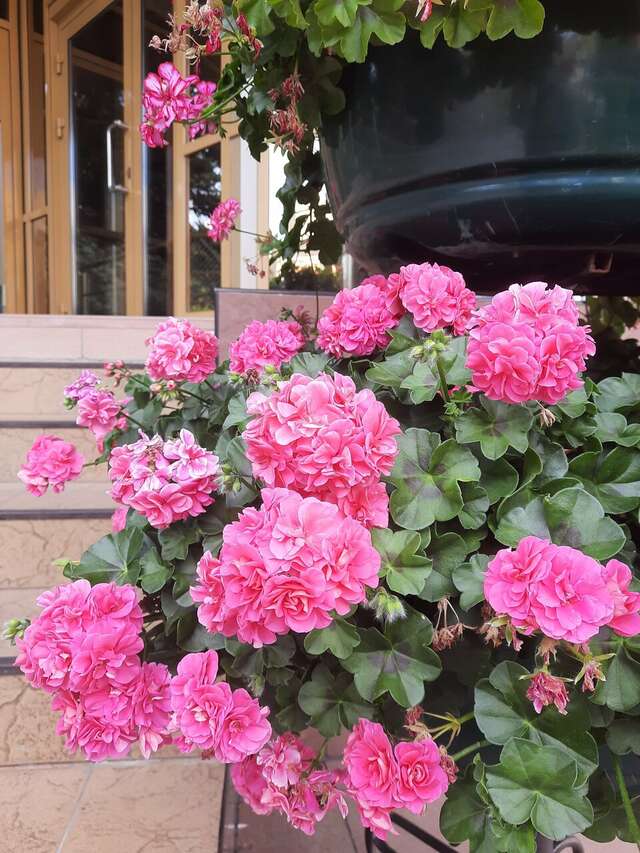 Гостиница Жемчужина Саратов-30